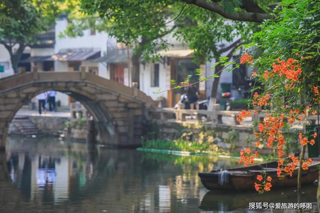 舞熊森林逃生
